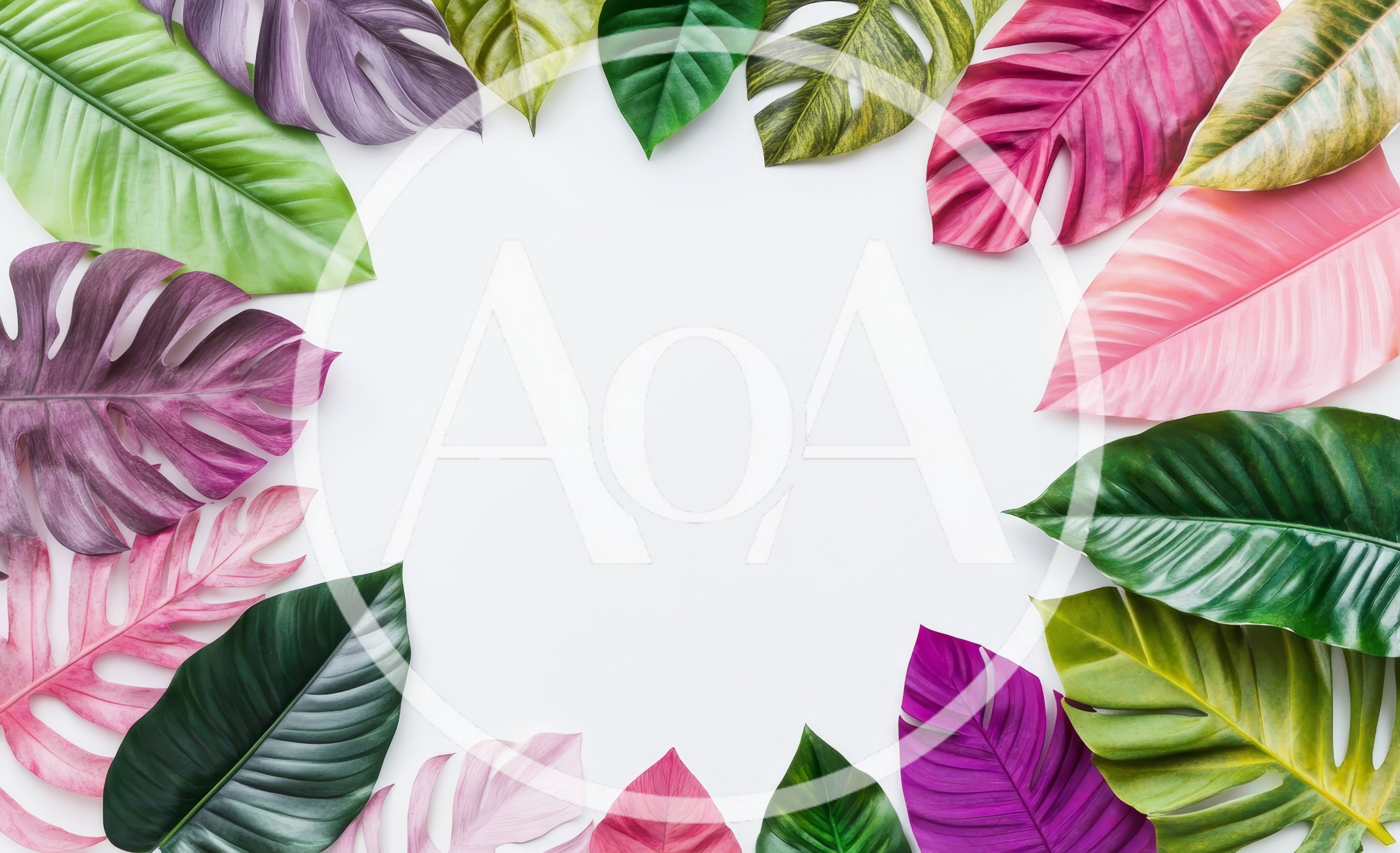 Colorful Tropical Leaves Arranged In A Circular Frame