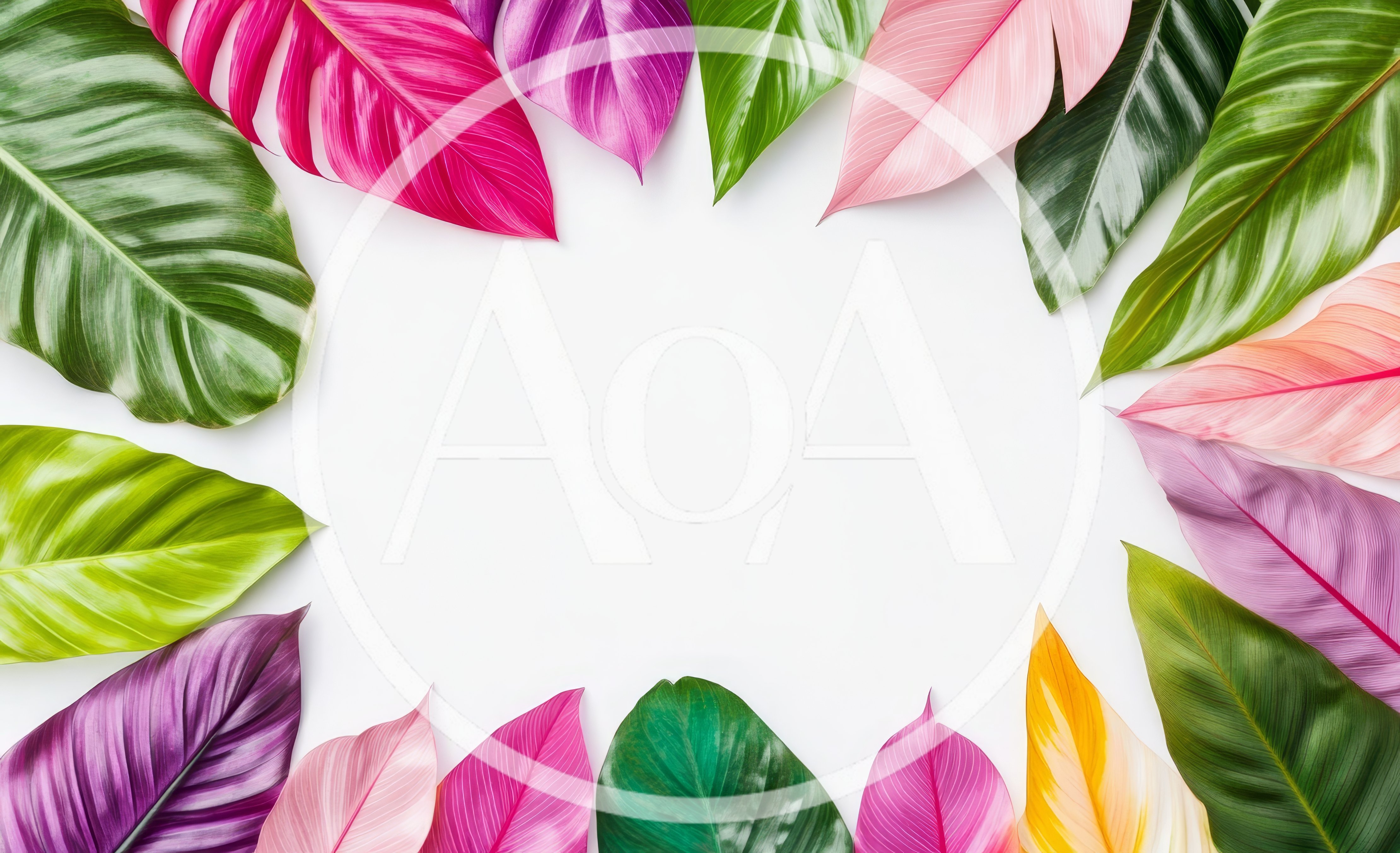 Colorful Tropical Leaves Arranged In A Circular Frame