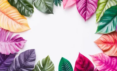 Colorful Tropical Leaves Arranged In A Circular Frame