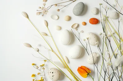 Easter Eggs And Dried Flowers Flat Lay