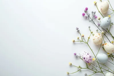 Easter Eggs And Wildflowers On White Background