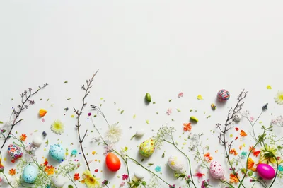 Easter Eggs And Spring Flowers On White Background