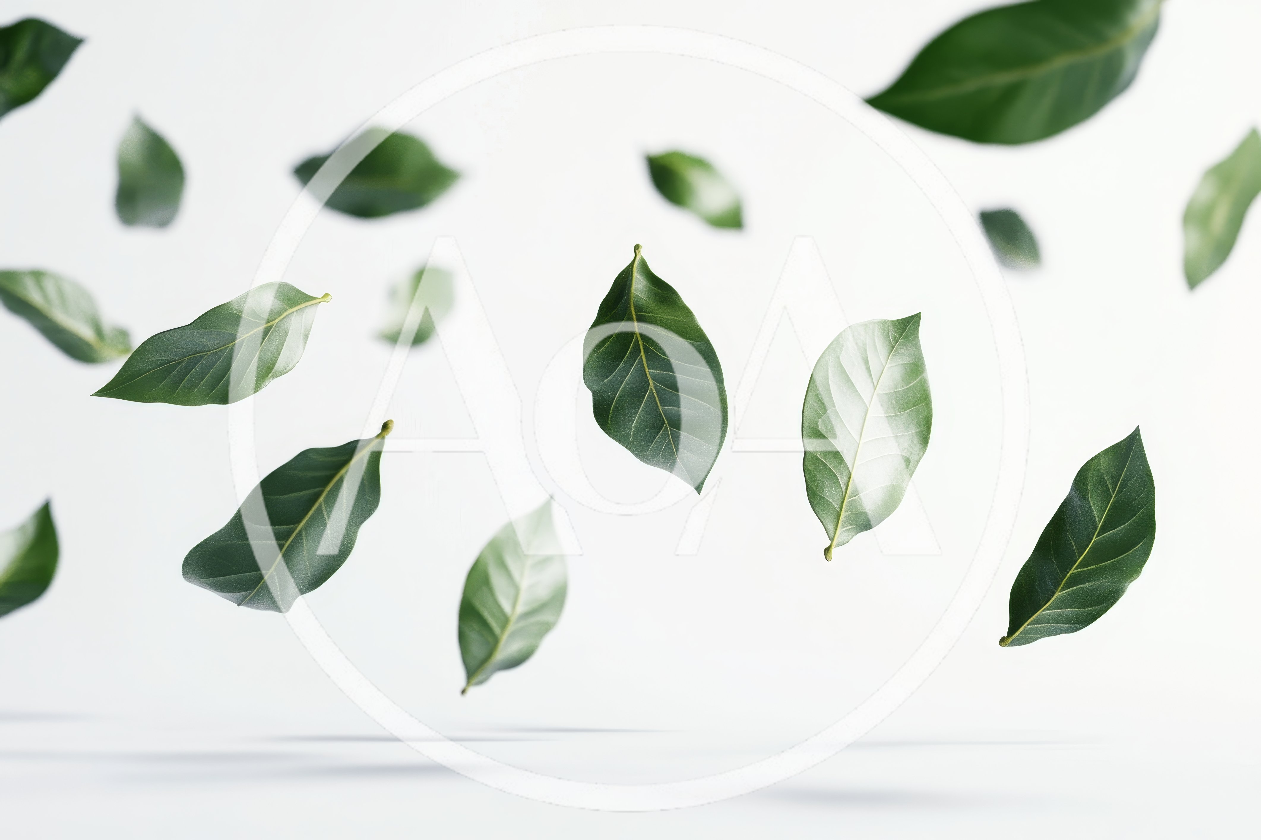 Floating Green Leaves Against A White Background
