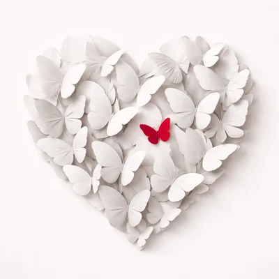 Heart Shape Composition Made Of White Paper Butterflies