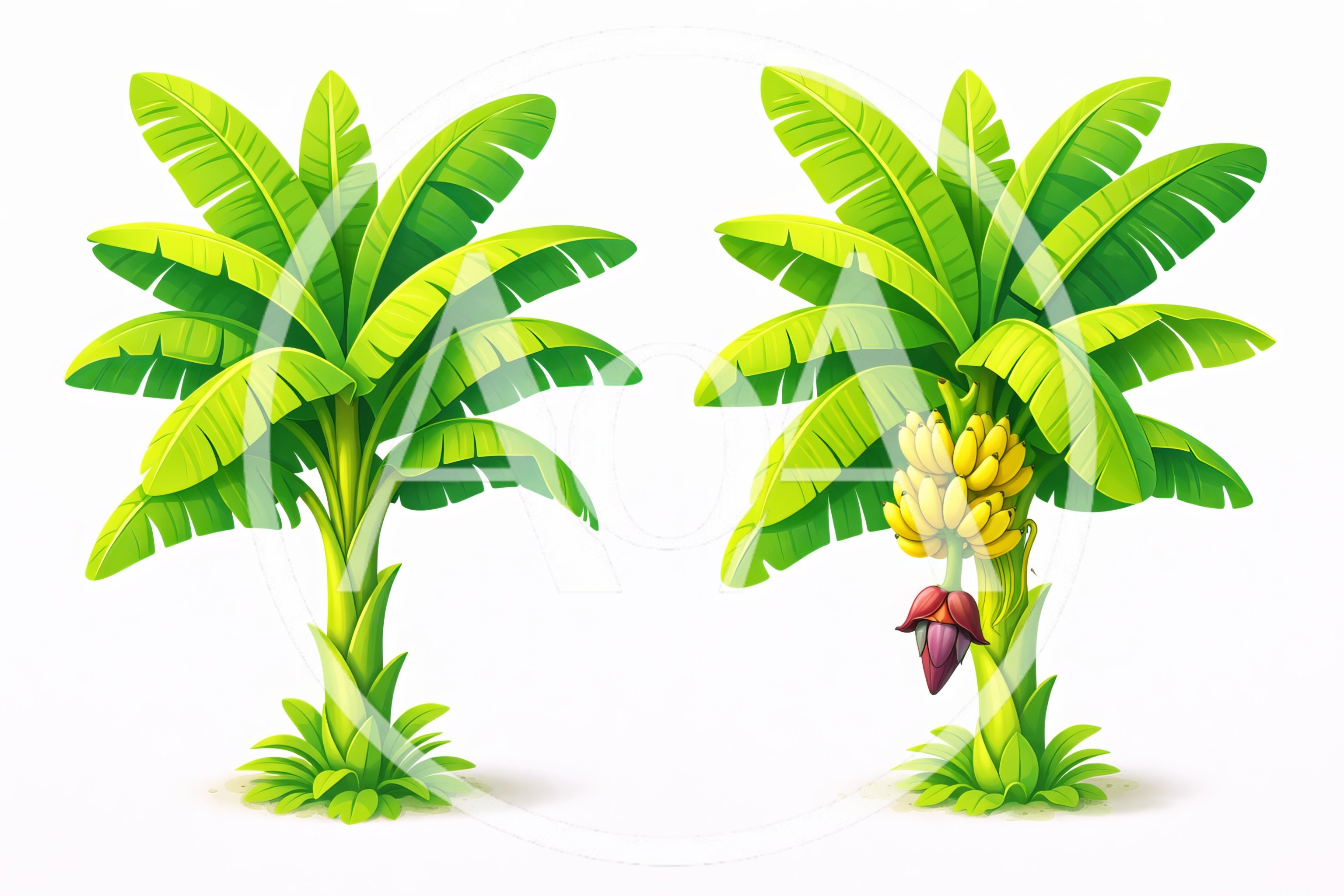Two Stylized Banana Trees With Fruit And Blossom