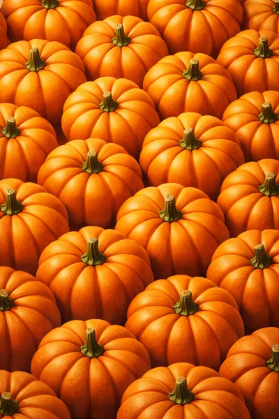 Top View Of Many Orange Pumpkins