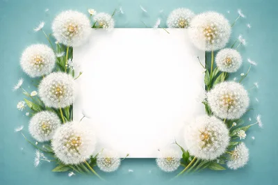 Dandelion Flower Frame With Blank White Center