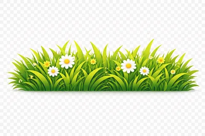 Lush Green Grass Patch With White And Yellow Flowers