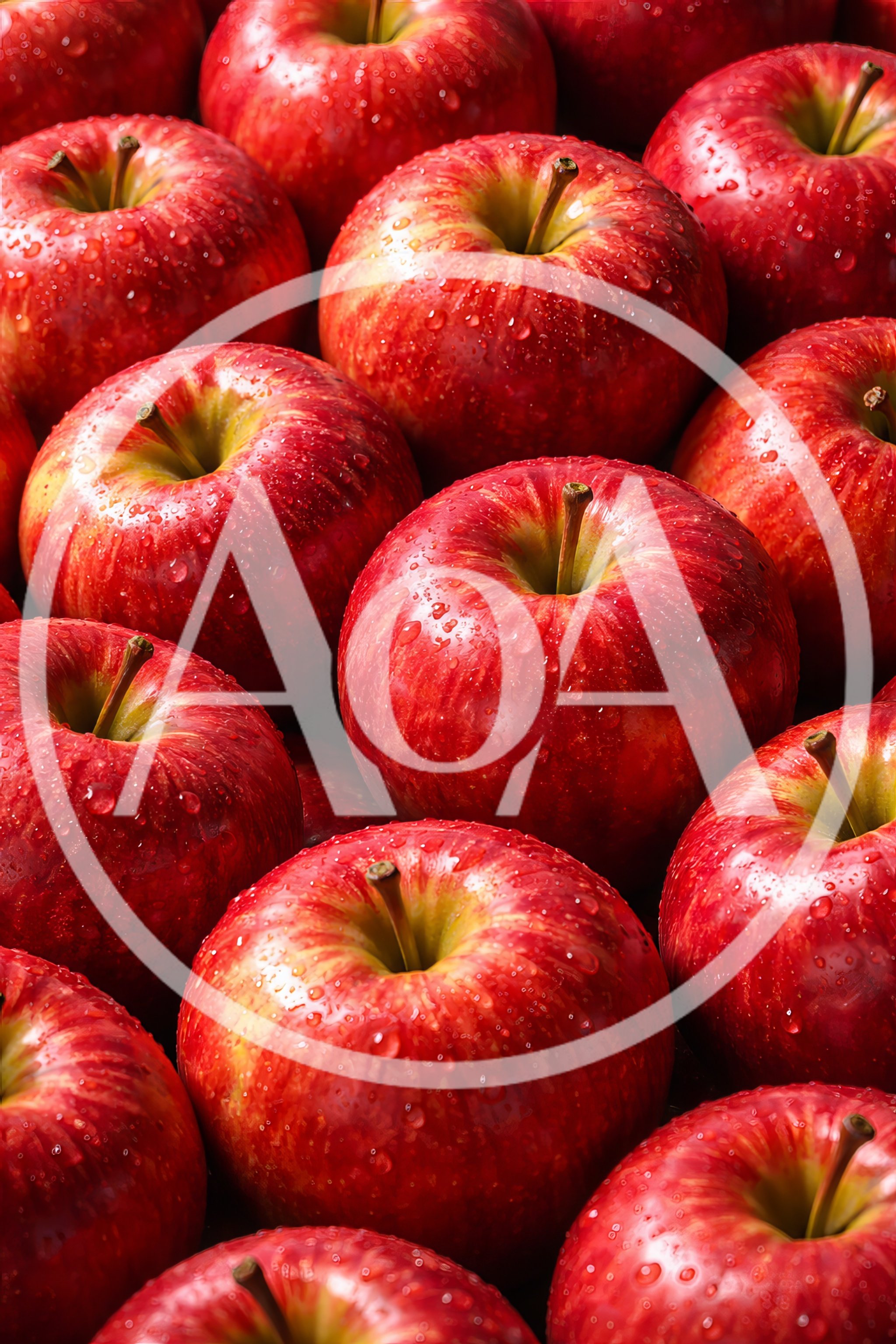 Fresh Red Apples With Water Droplets