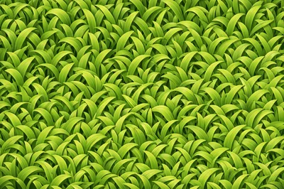 Seamless Green Grass Blades Pattern Background