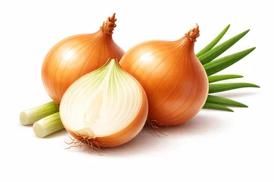 Fresh Whole And Halved Yellow Onions With Green Stalks