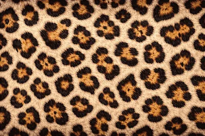 Seamless Leopard Print Animal Fur Pattern