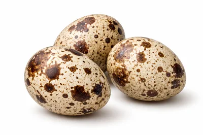 Three Fresh Quail Eggs Isolated On White Background