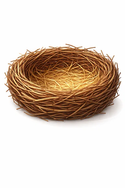 Empty Bird Nest Made Of Twigs