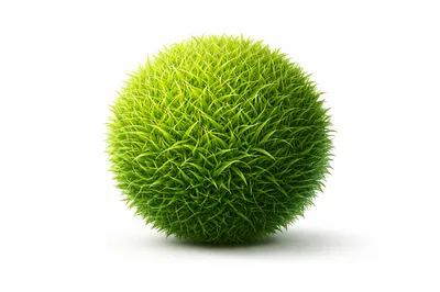 Green Grass Sphere Isolated On White Background