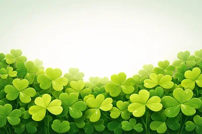 Fresh Green Shamrock Clover Leaves Background
