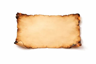 Old Burnt Parchment Paper Scroll Isolated on White