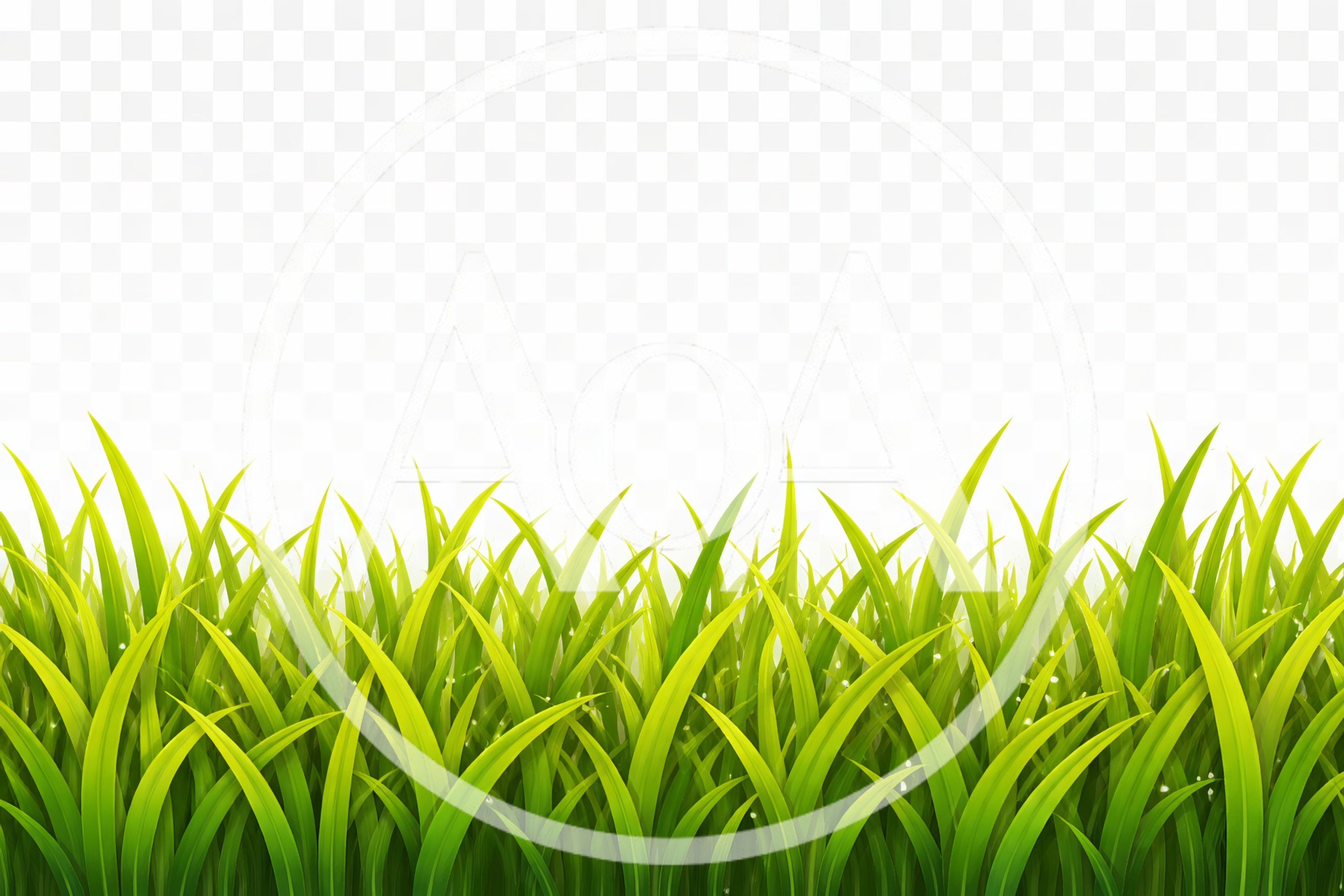 Lush Green Grass Blades Isolated On Transparent Background