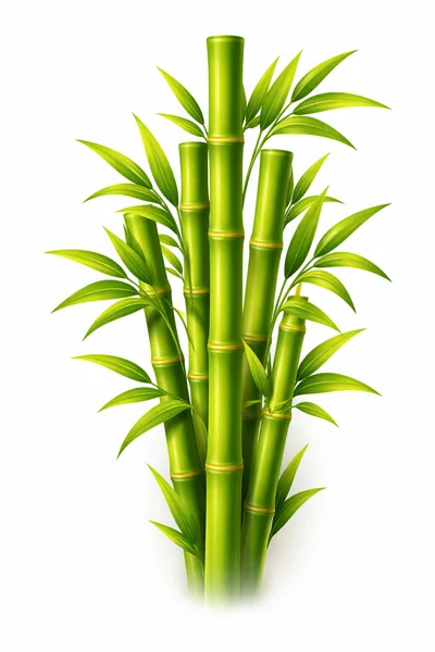 Realistic Green Bamboo Stalks With Leaves
