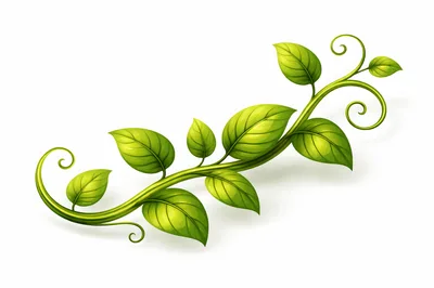 Green Vine Illustration With Leaves And Swirls
