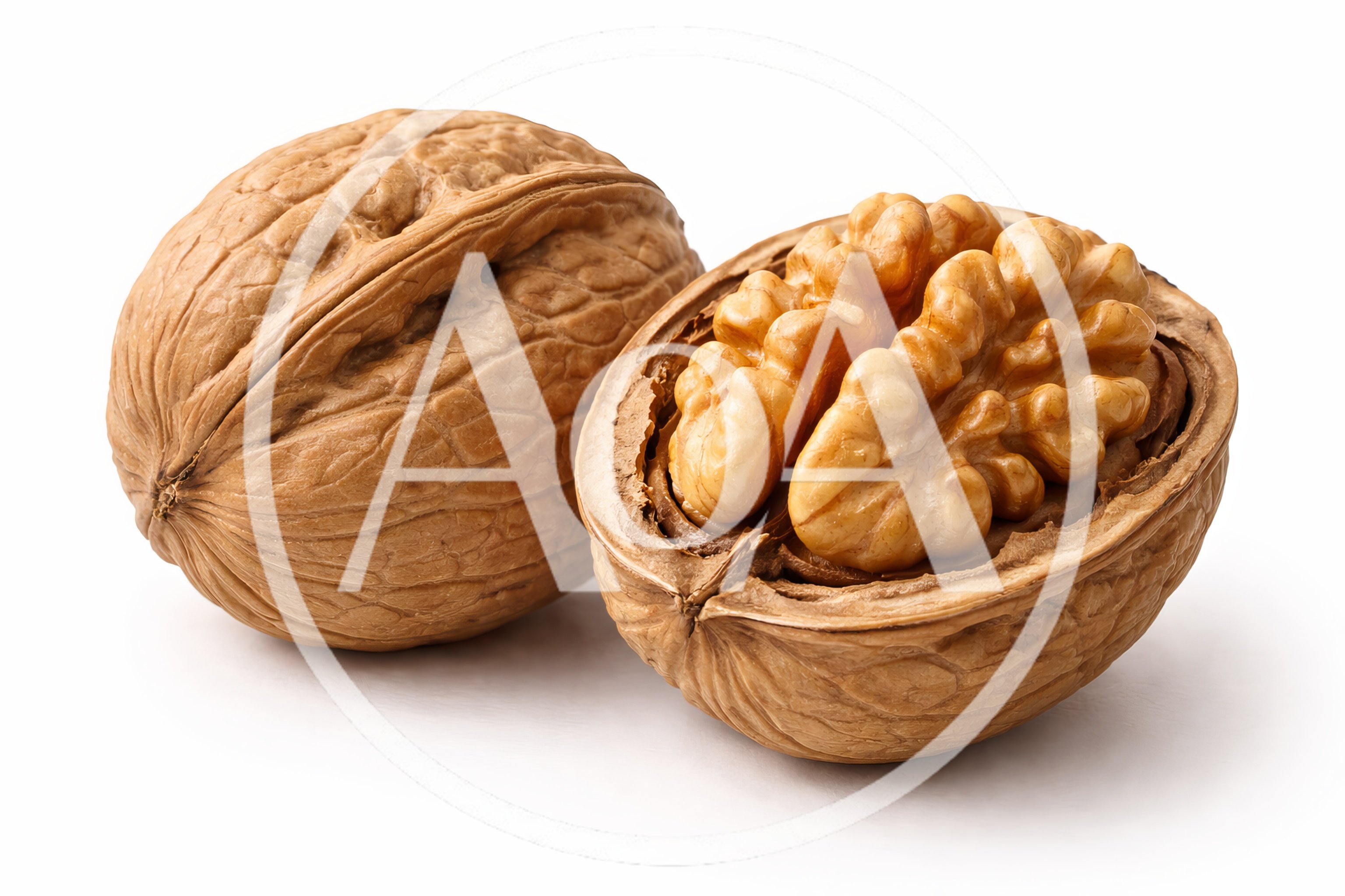 Whole And Cracked Walnuts On White Background