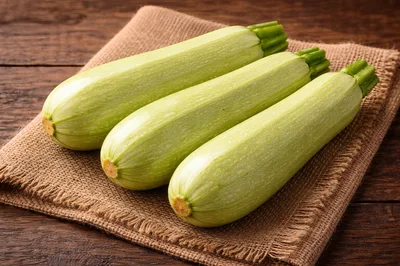 Three Fresh Zucchini Squashes on Burlap