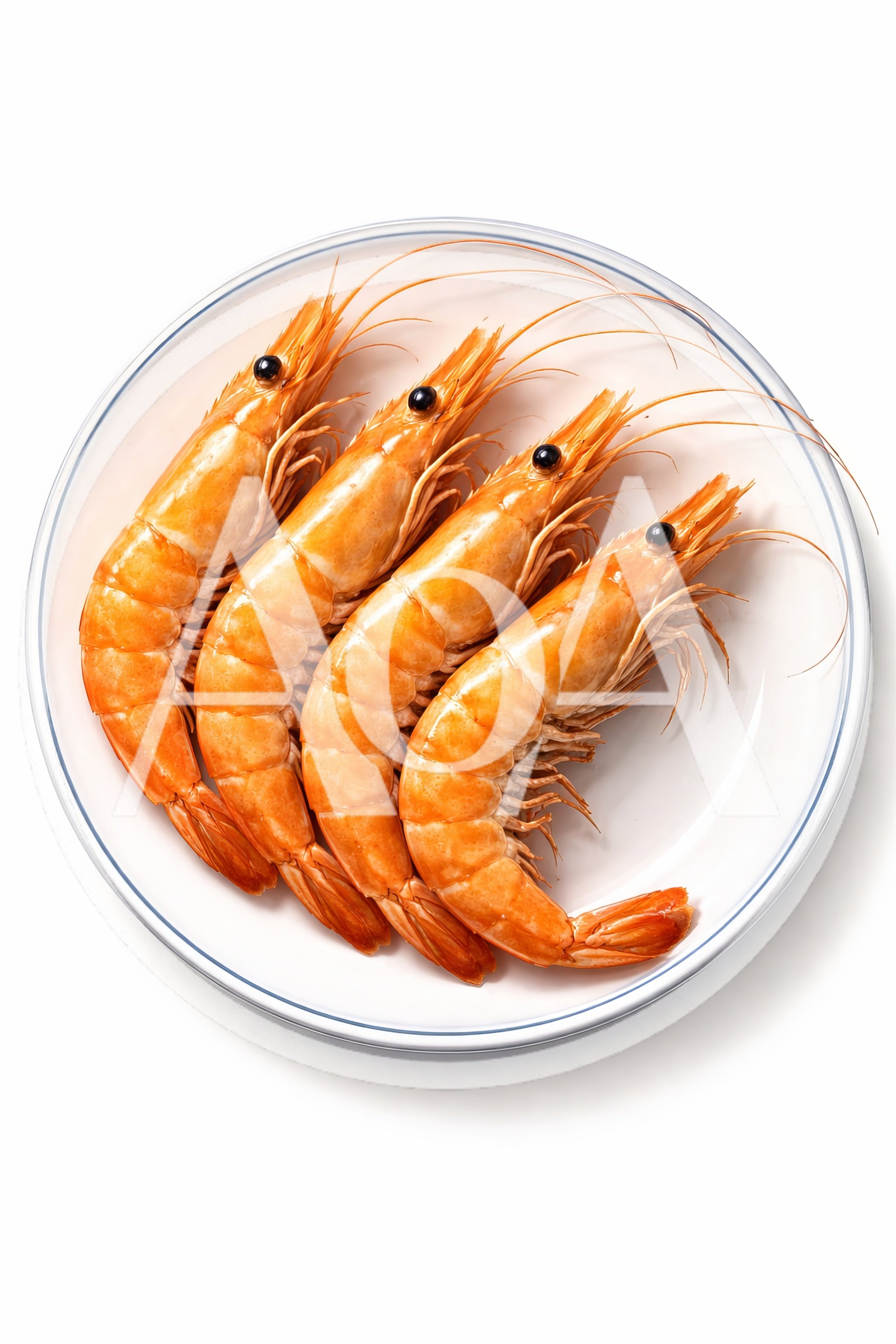 Four Cooked Whole Shrimp Arranged On A White Plate