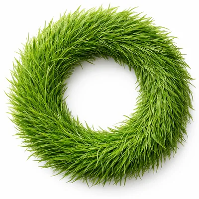 Fresh Green Grass Wreath Isolated On White Background