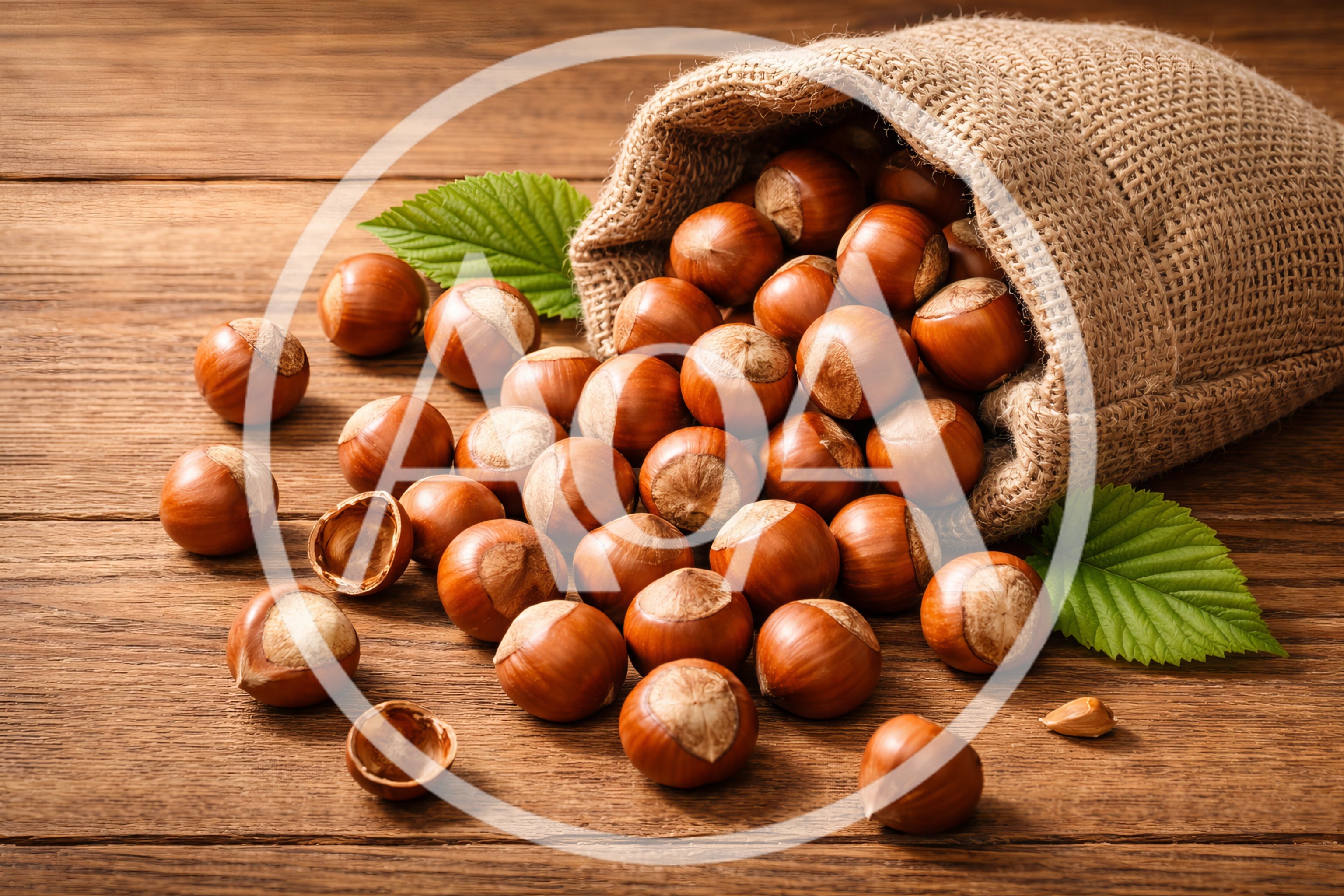 Hazelnuts Spilling From A Burlap Sack On Wood