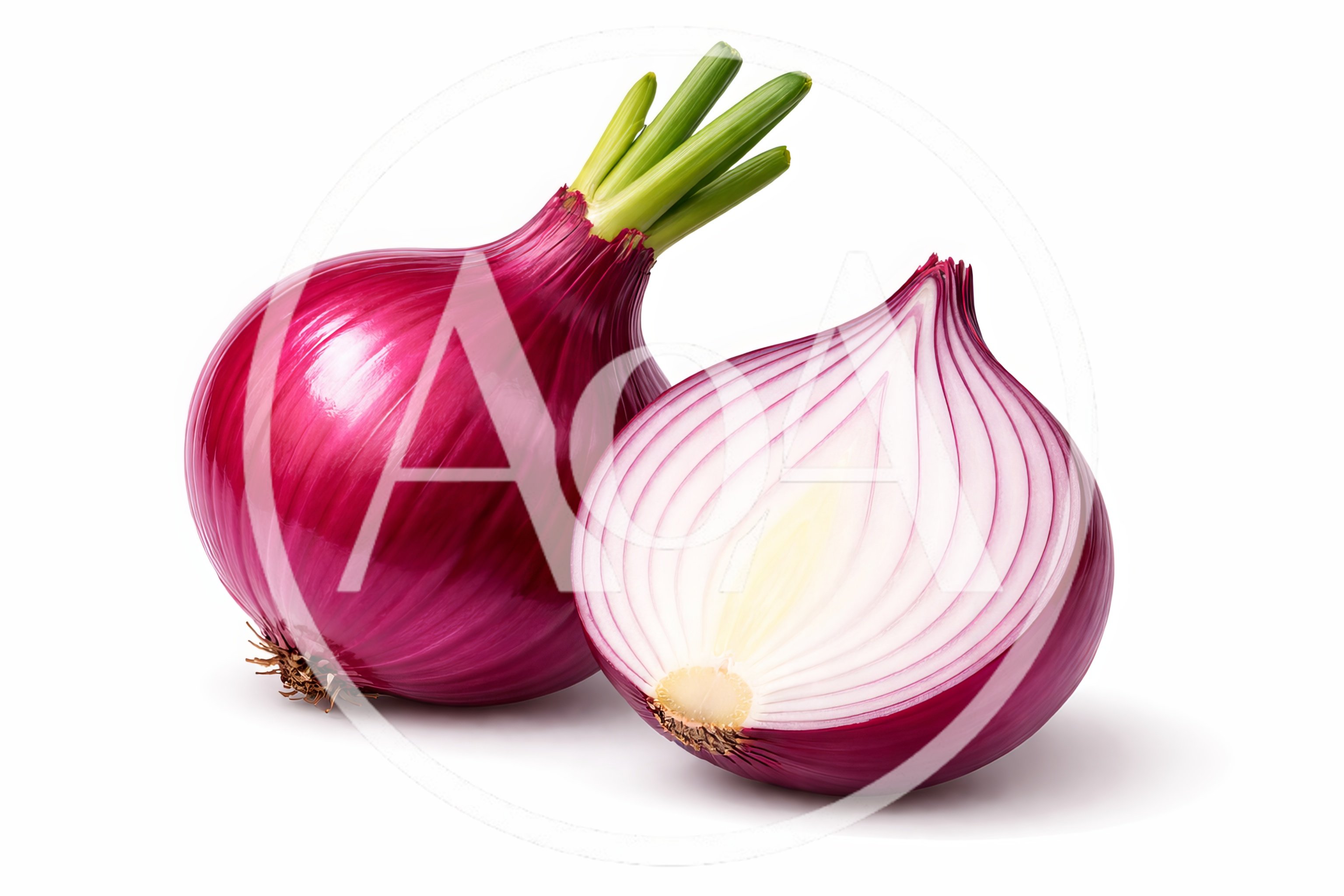 Whole And Halved Red Onions On White Background