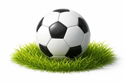 Classic Black and White Soccer Ball on Green Grass