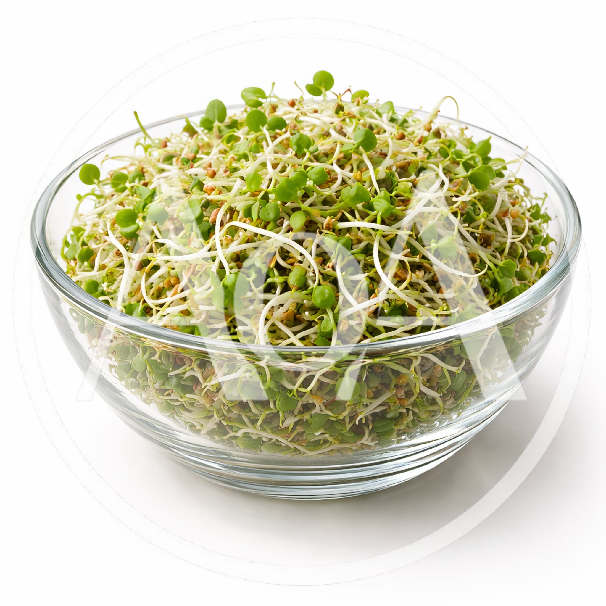 Fresh Alfalfa Sprouts In A Glass Bowl