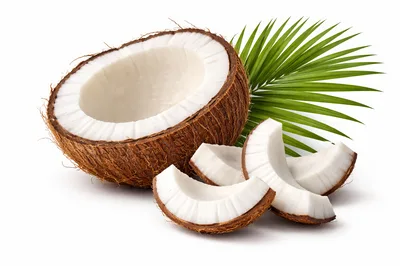 Fresh Coconut Half With Slices And Palm Leaf