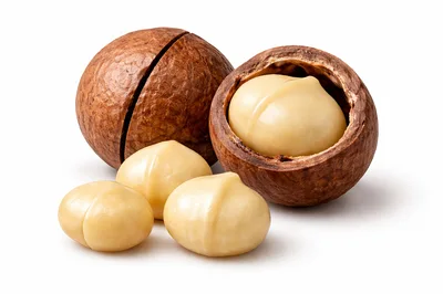 Macadamia Nuts With Shells Isolated On White