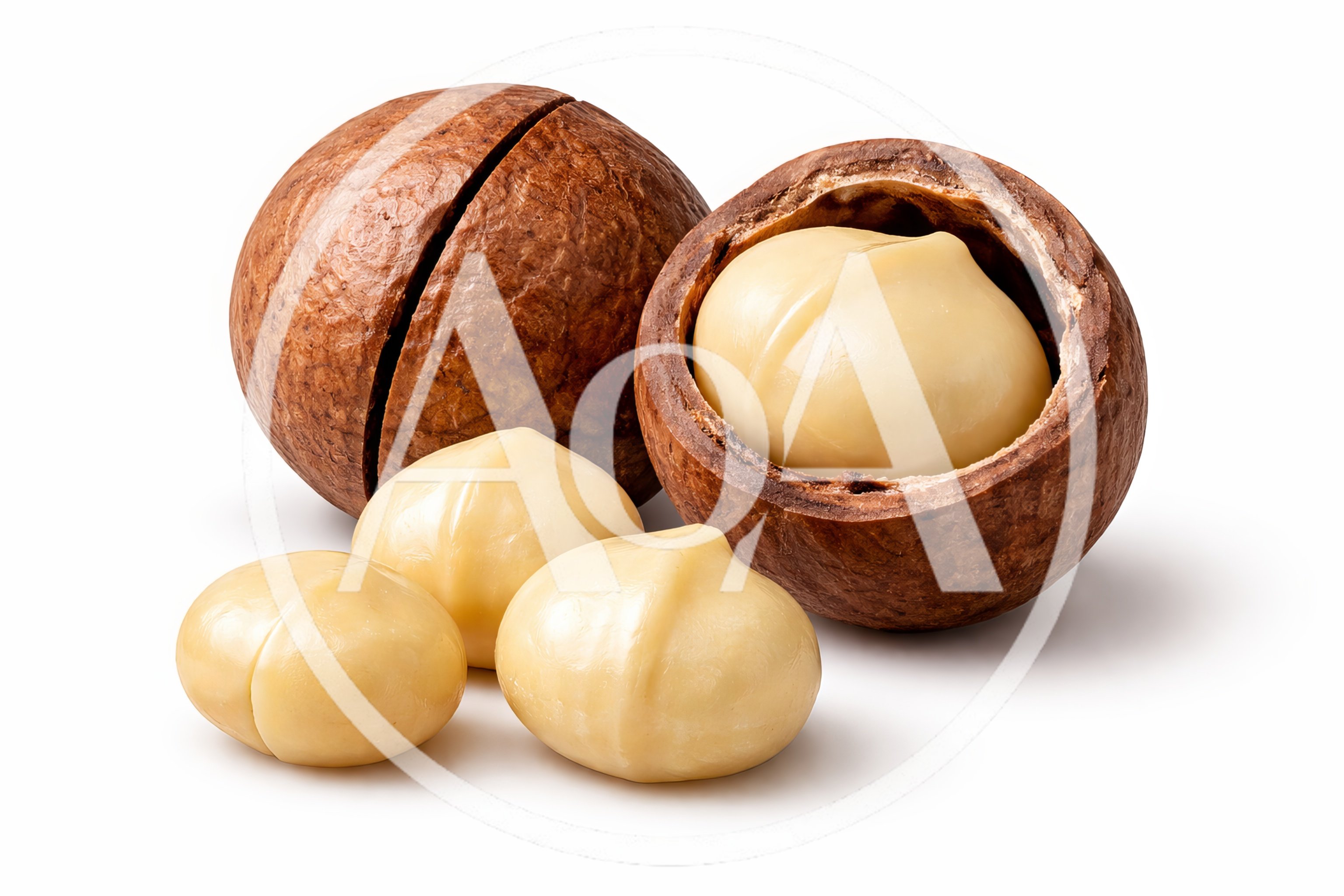 Macadamia Nuts With Shells Isolated On White