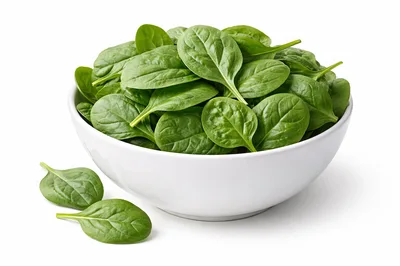 Fresh Green Spinach Leaves in a White Bowl