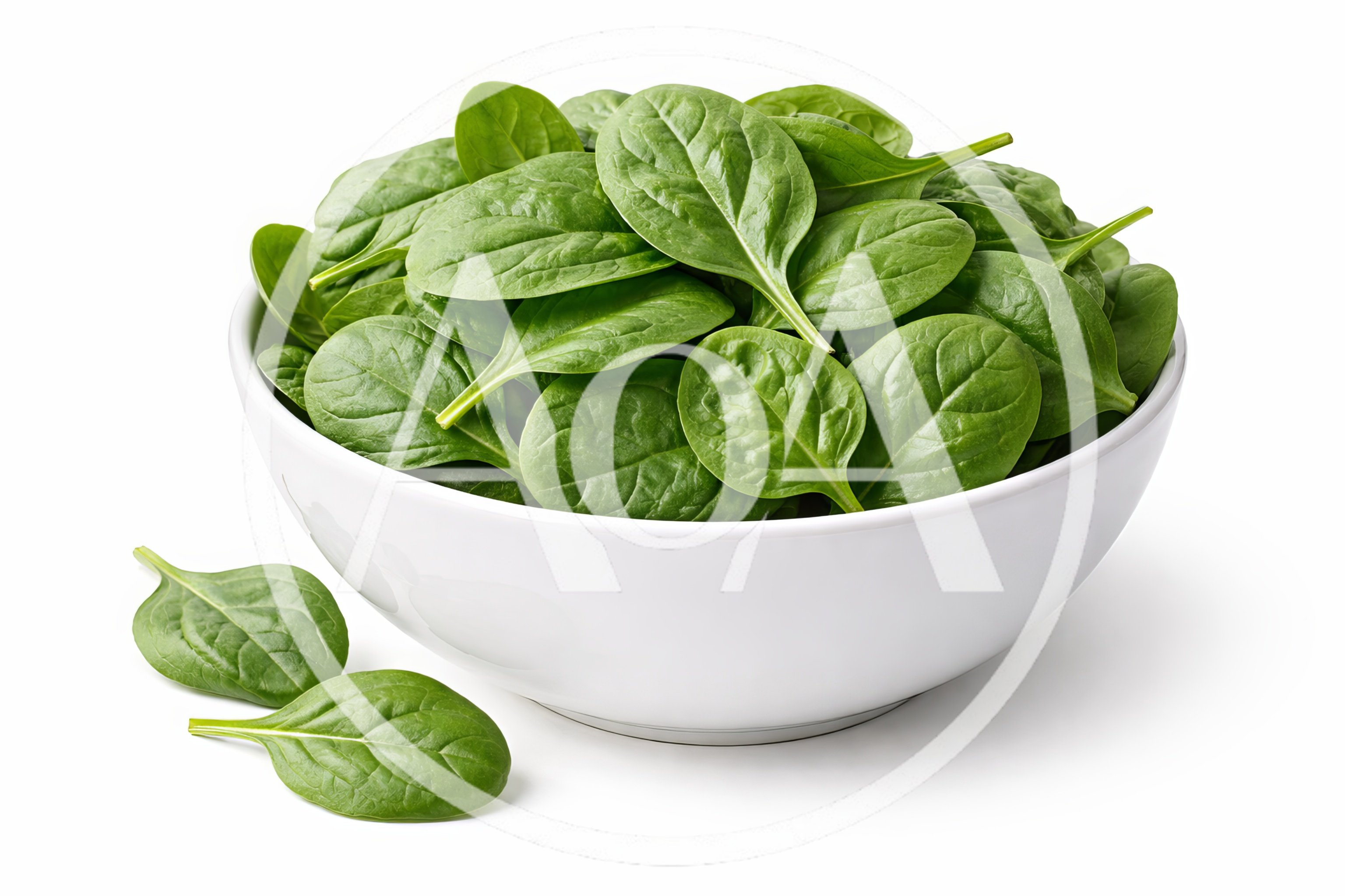 Fresh Green Spinach Leaves in a White Bowl
