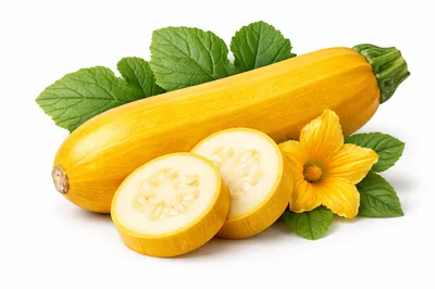 Fresh Yellow Zucchini Squash With Slices And Flower