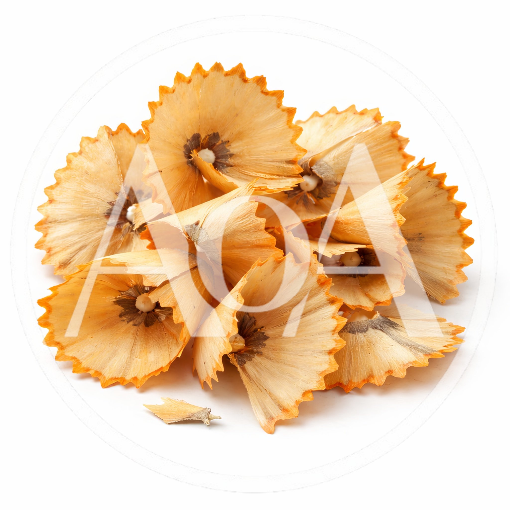 Pile Of Wooden Pencil Shavings On White Background
