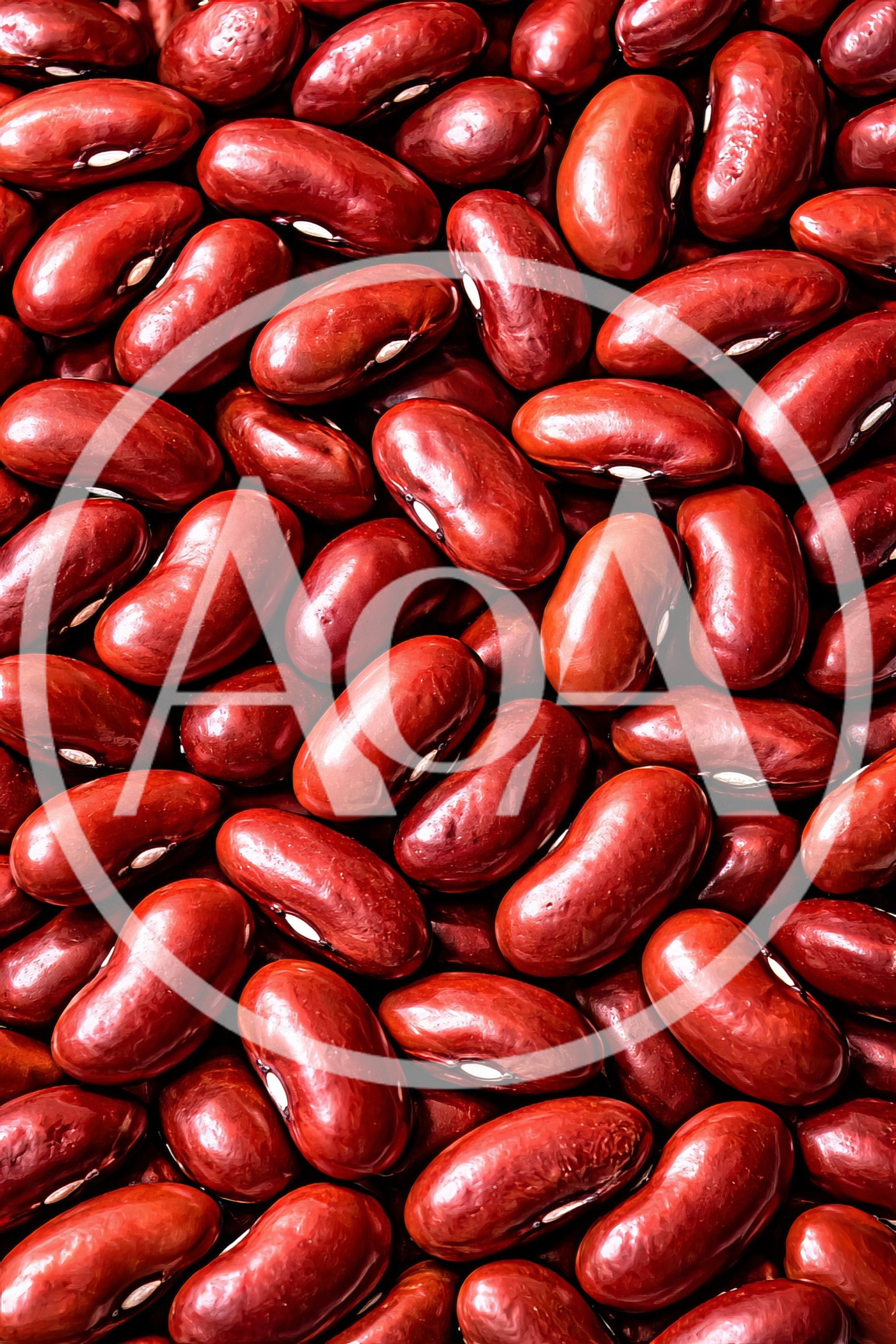 Top View Of Raw Red Kidney Beans