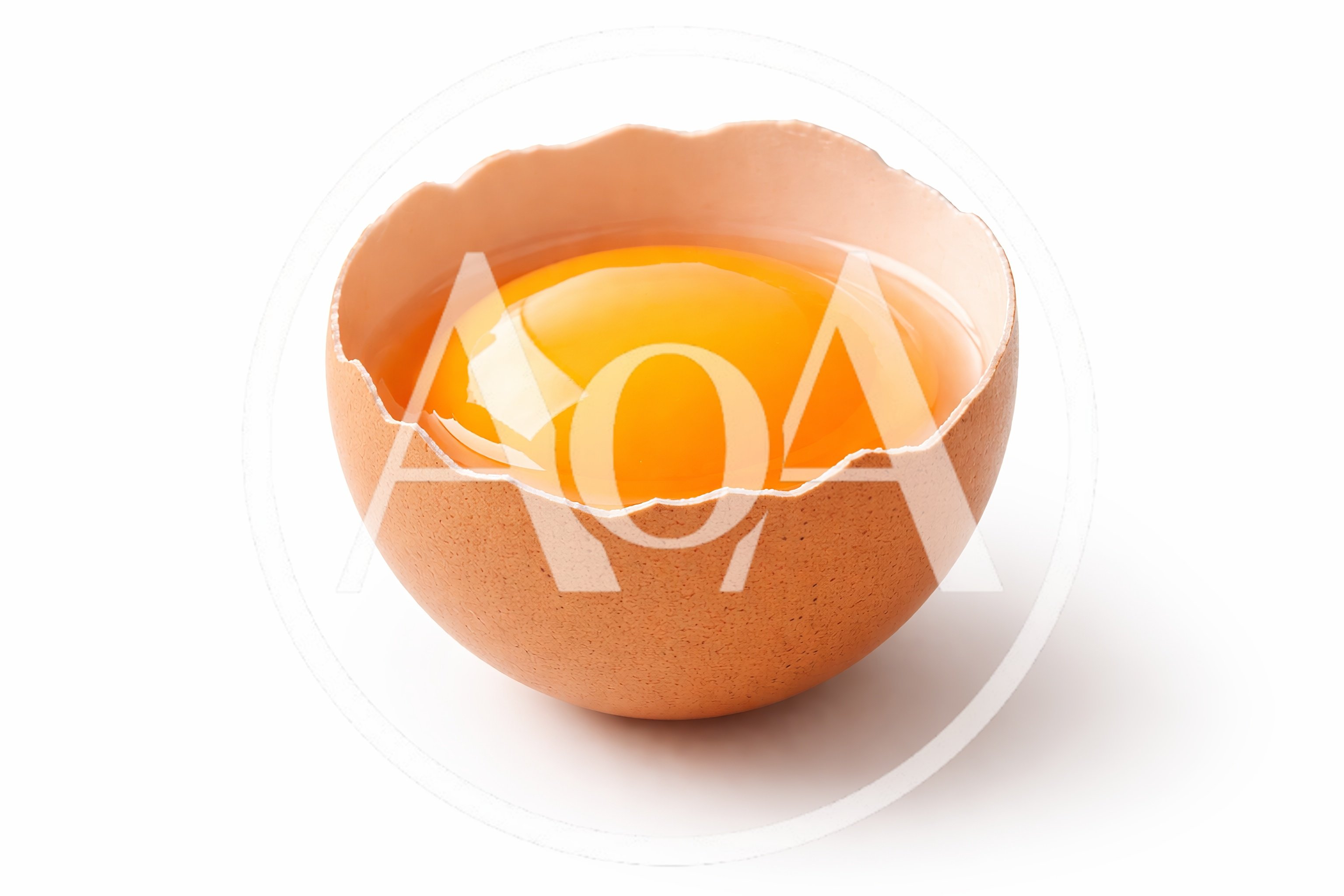 Broken Brown Egg With Raw Yolk