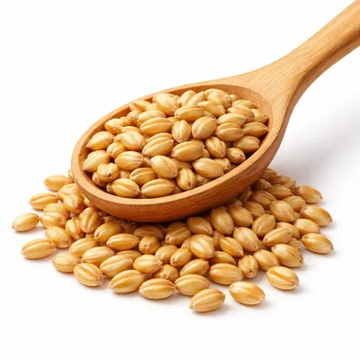 Wooden Spoon Filled With Raw Wheat Grains