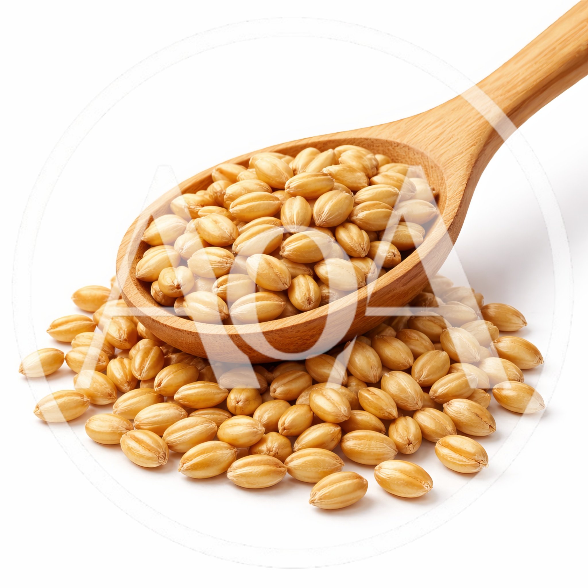Wooden Spoon Filled With Raw Wheat Grains