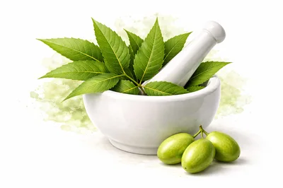 Neem Leaves and Fruit in Mortar and Pestle