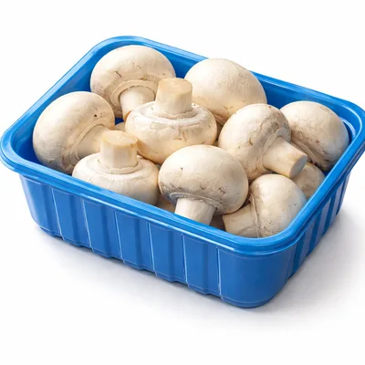 Fresh White Button Mushrooms In A Blue Plastic Tray