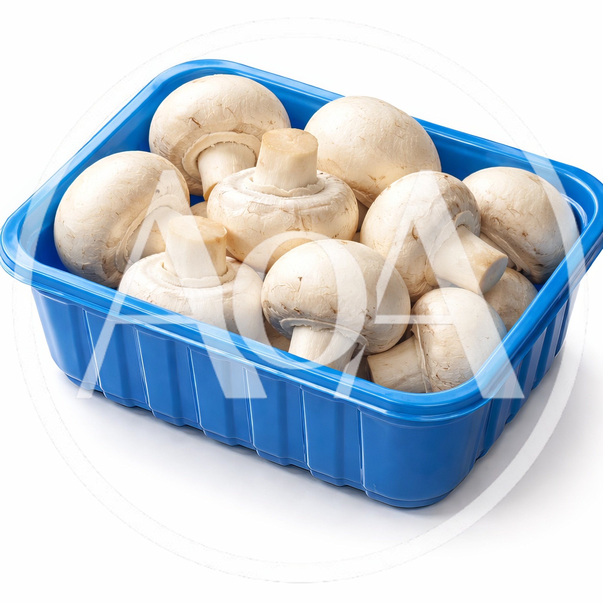 Fresh White Button Mushrooms In A Blue Plastic Tray
