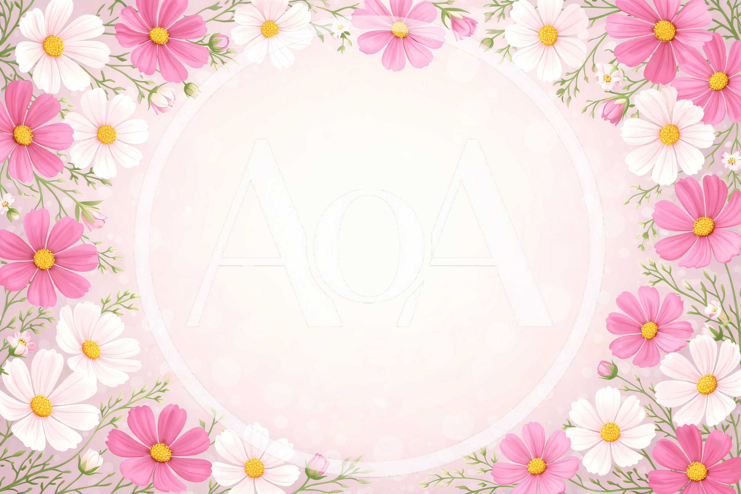 Floral Frame With Pink And White Cosmos Flowers