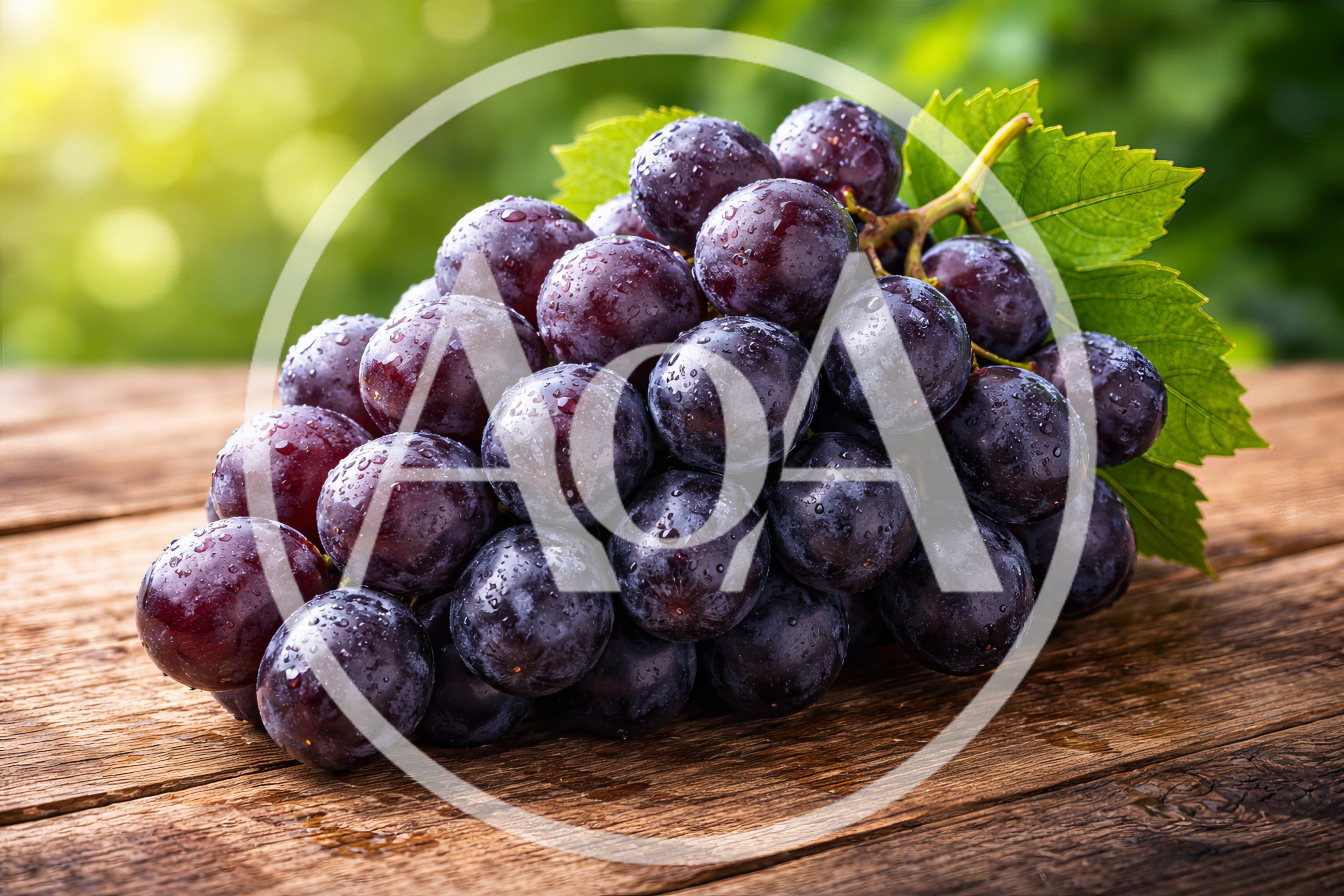 Fresh Purple Grapes on Rustic Wooden Table