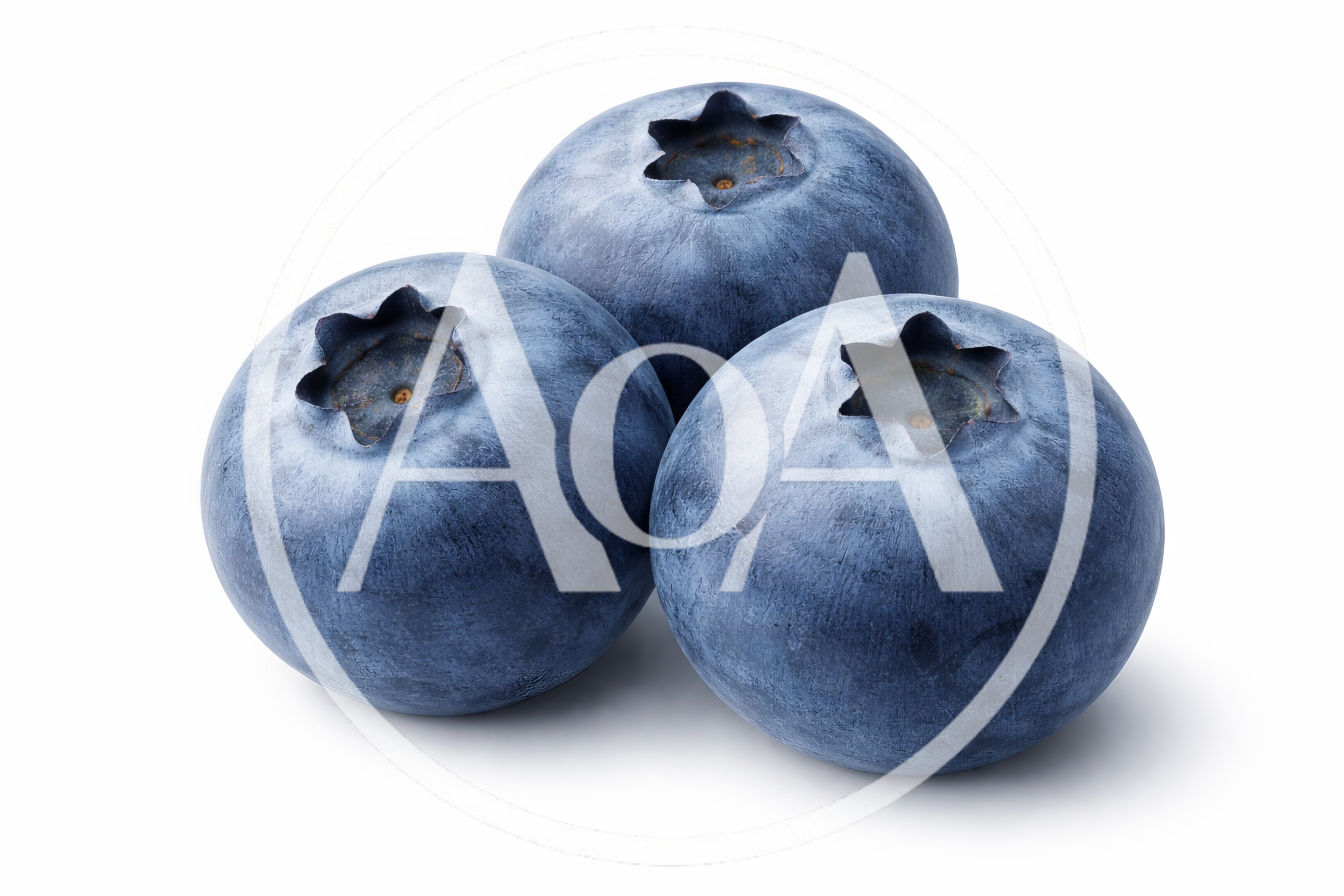 Three Fresh Ripe Blueberries Isolated On White Background