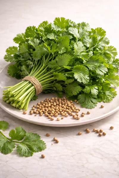 Fresh Cilantro Bunch And Coriander Seeds On Plate